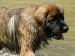 DSCF0587.JPG