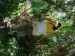 DSCF0612.JPG
