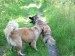 DSCF0617.JPG