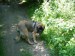 DSCF0623.JPG