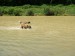 DSCF0625.JPG