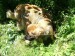 DSCF0622.JPG