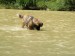 DSCF0631.JPG