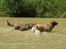 DSCF0632.JPG