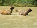 DSCF0633.JPG
