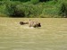 DSCF0635.JPG