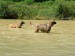 DSCF0636.JPG