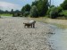 DSCF0637.JPG
