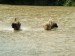 DSCF0640.JPG