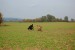 DSC_00060004.JPG