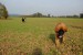 DSC_00090007.JPG