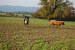DSC_00110009.JPG