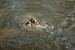 DSC_00120010.JPG