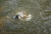 DSC_00130011.JPG