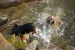 DSC_00140012.JPG