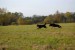 DSC_00150013.JPG