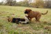 DSC_00170015.JPG