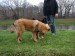 DSCF3777.JPG