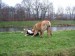 DSCF3778.JPG