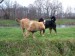 DSCF3781.JPG